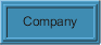 About the company
